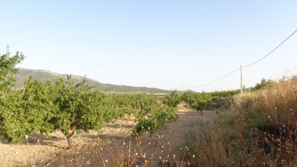 Terrain dans Salinas, Alicante à vendre - Aérien - Image 2 de 16