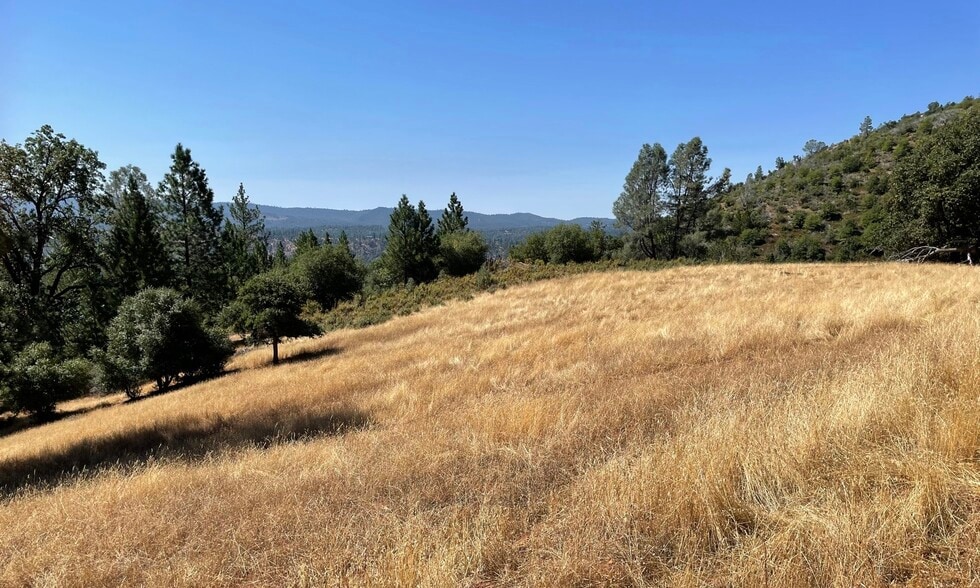 00000 Forrest Road 1N19, Tuolumne, CA à vendre - Photo du bâtiment - Image 3 de 24