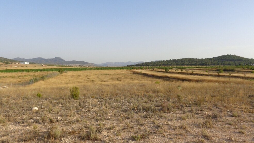 Terrain dans Salinas, Alicante à vendre - Aérien - Image 3 de 16