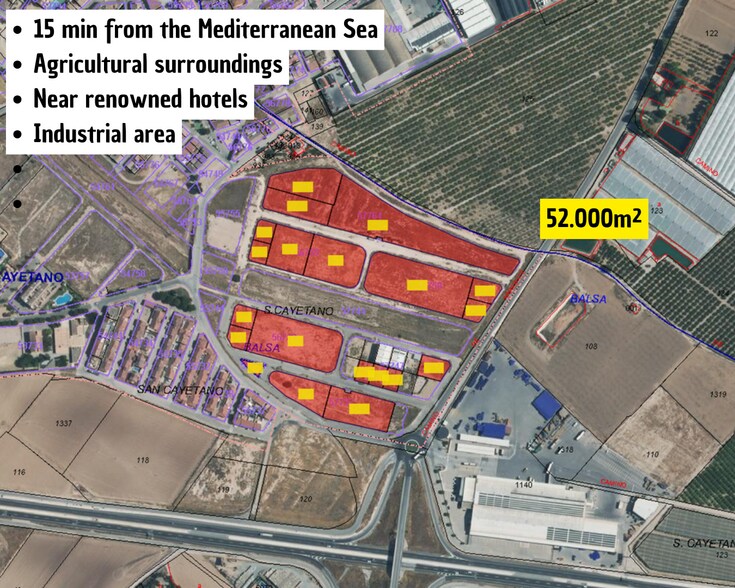 Land in Torre-Pacheco, Murcia for sale - Primary Photo - Image 1 of 2