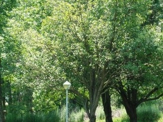 Plus de détails pour 1056 S Saint Marys St, Saint Marys, PA - Terrain à vendre