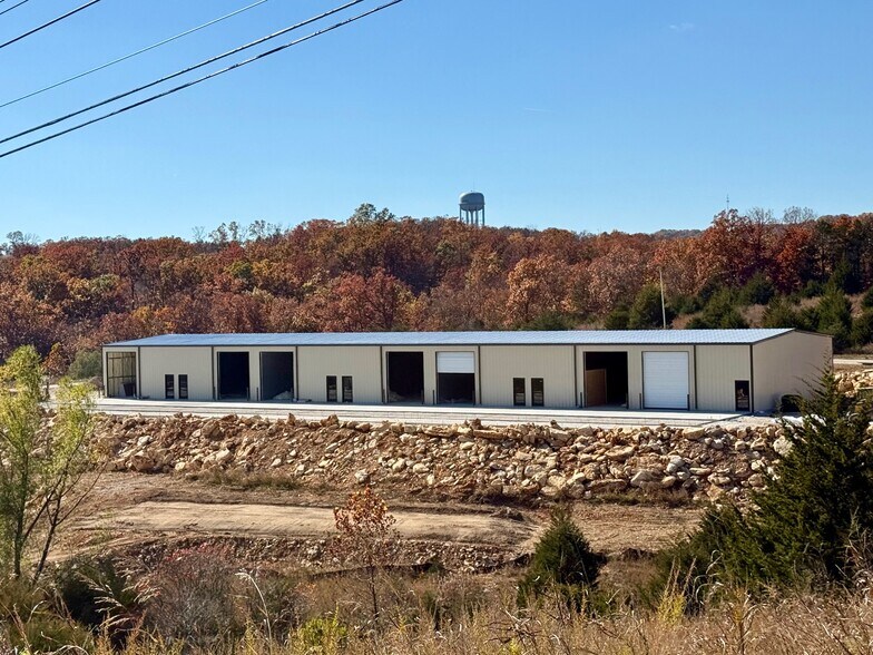 350 Stonetree Drive, Branson, MO à louer - Photo du bâtiment - Image 2 de 5