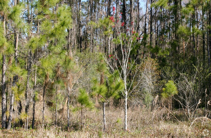 2180 SR 16, Saint Augustine, FL à vendre - Autre - Image 2 de 2