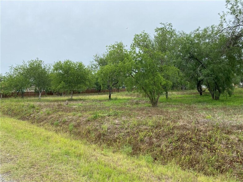 Cemetery Road, Sinton, TX for sale - Building Photo - Image 1 of 9