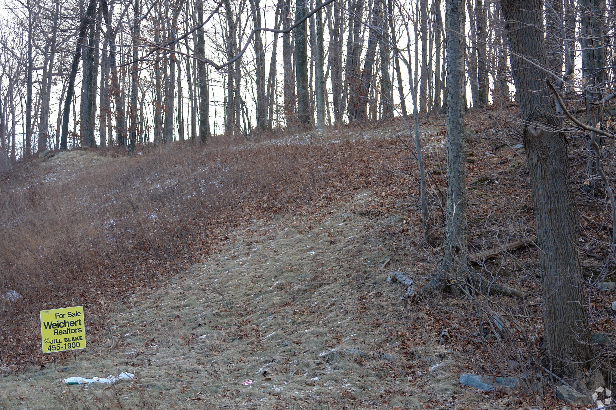 86 Rt-10 E, Randolph, NJ for sale Primary Photo- Image 1 of 2