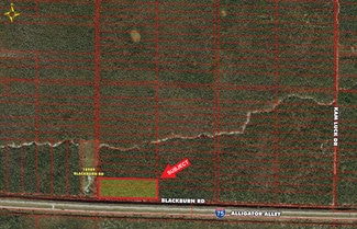 Plus de détails pour 0 Blackburn Rd, Naples, FL - Terrain à vendre