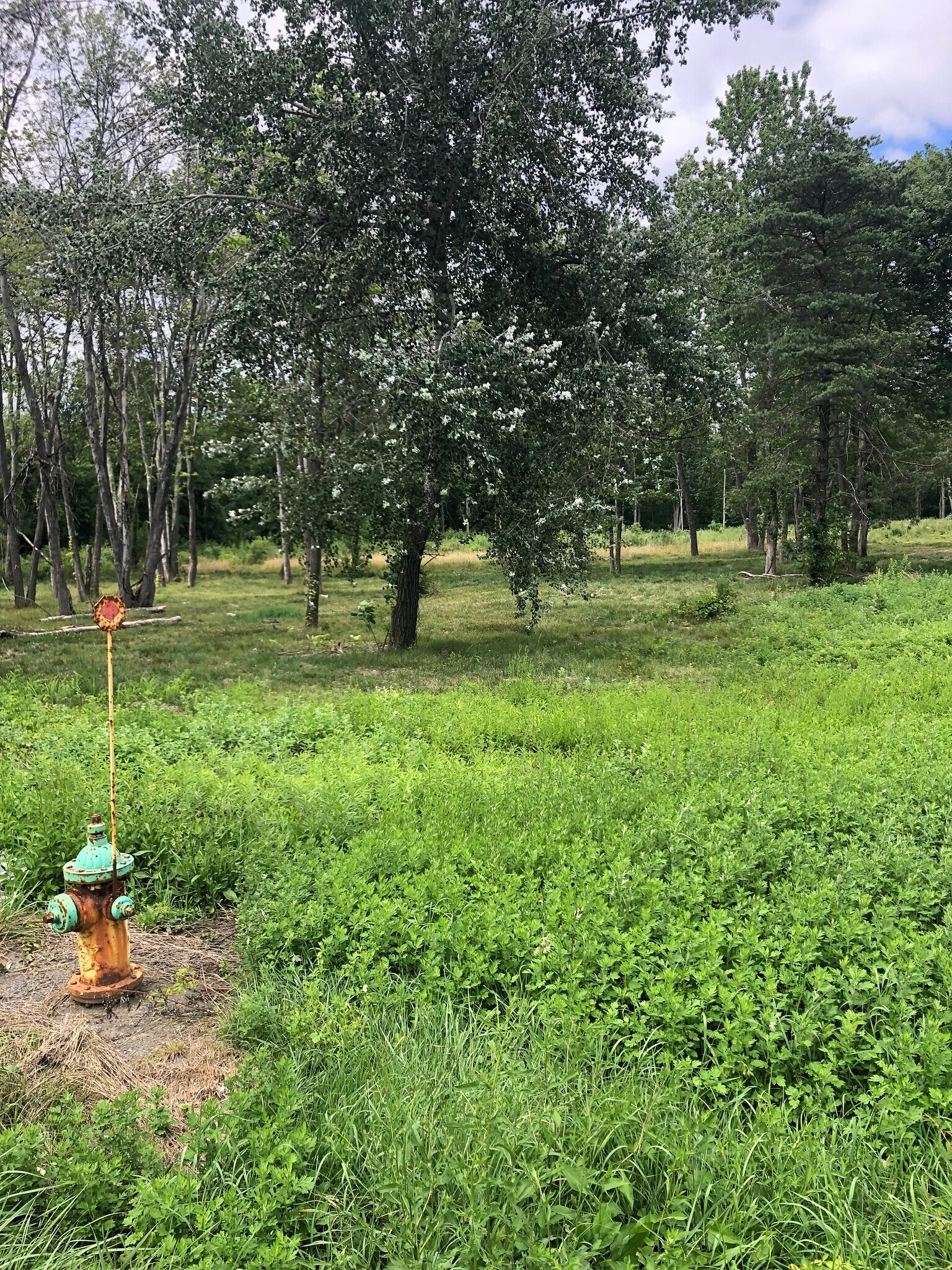 274 Plank Road, Newburgh, NY à vendre Autre- Image 1 de 6