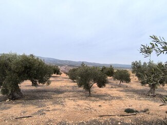 More details for Land for Sale
