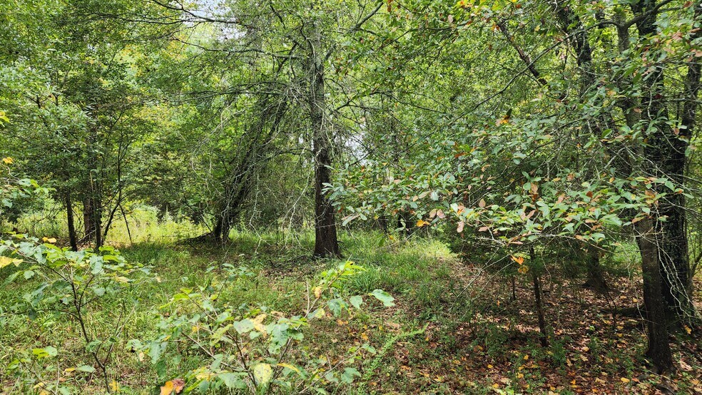 1661 Friendship Rd, Hoschton, GA à vendre - Photo principale - Image 2 de 49