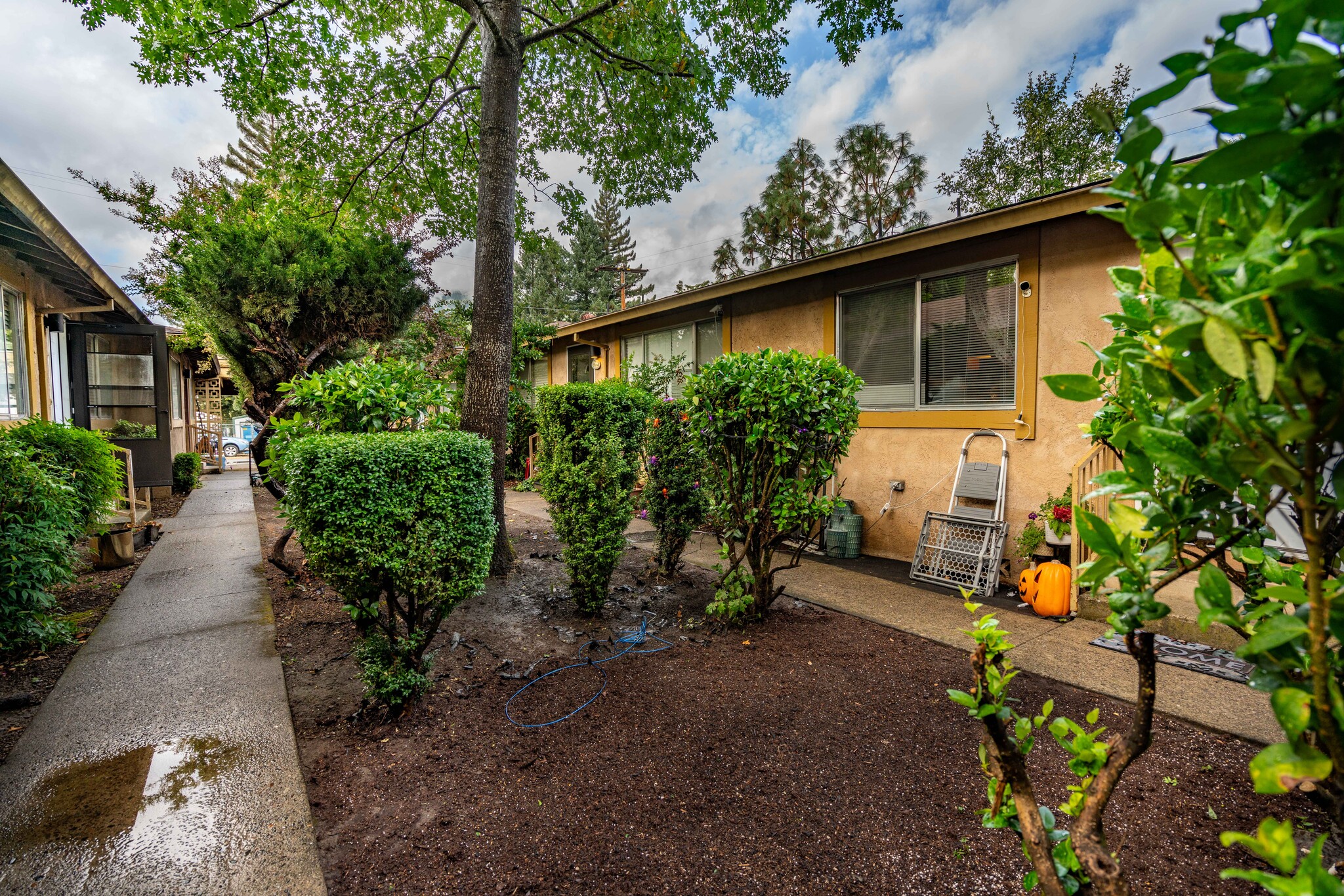 145 Cedar St, Rogue River, OR for sale Building Photo- Image 1 of 1