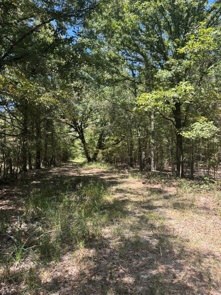 Elm Grove, Elm Grove, LA à vendre - Photo du bâtiment - Image 2 de 3