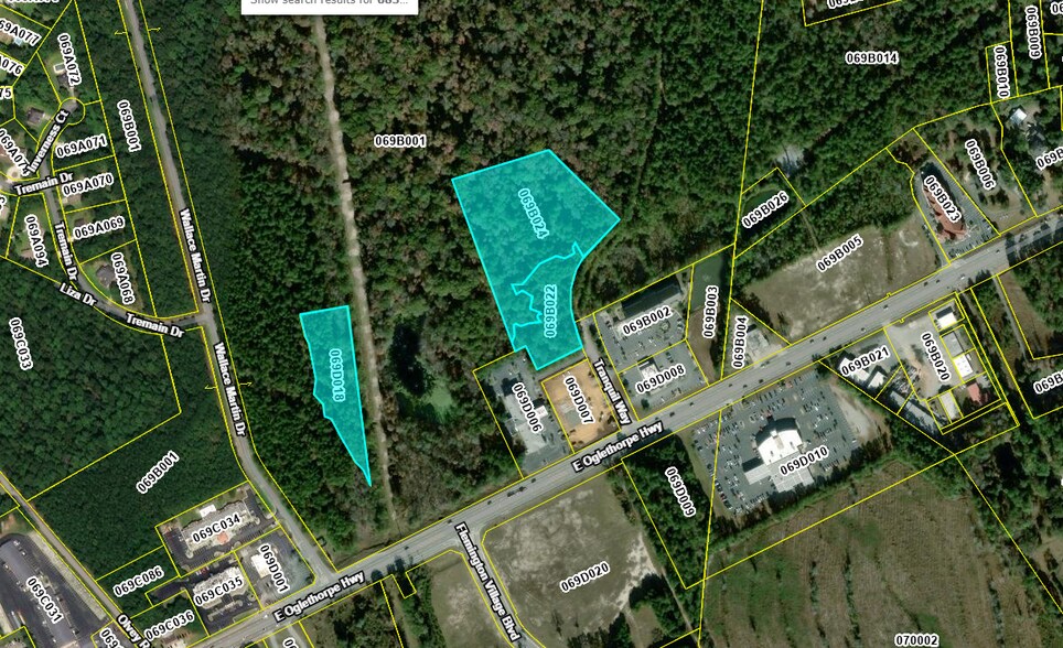 Tranquill Way, Flemington, GA à vendre - Photo du bâtiment - Image 2 de 3