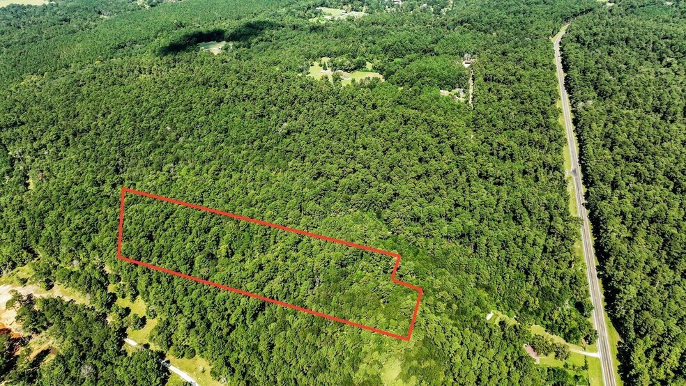 Shepard Rd, Coldspring, TX for sale - Aerial - Image 1 of 4