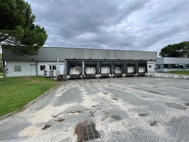 Flex in Lormont for lease Building Photo- Image 1 of 13