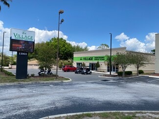 More details for 13903 N US Highway 441, Lady Lake, FL - Retail for Lease