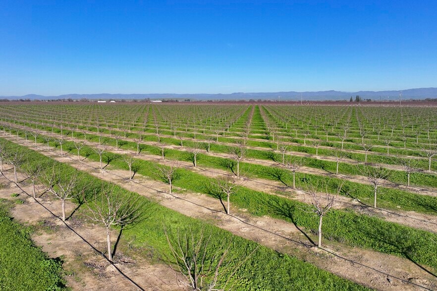 15743 N Allen Rd, Snelling, CA for sale - Building Photo - Image 3 of 12