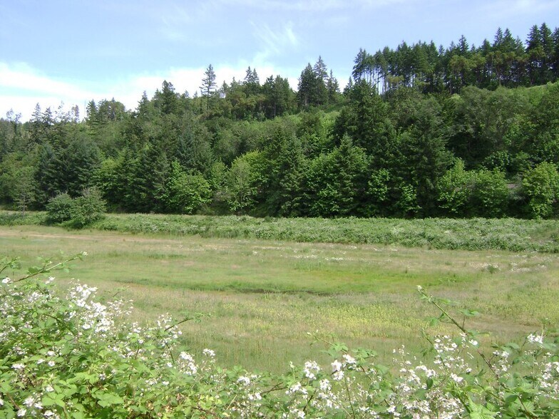 560 Stearns Ln, Oakland, OR for sale - Primary Photo - Image 1 of 13