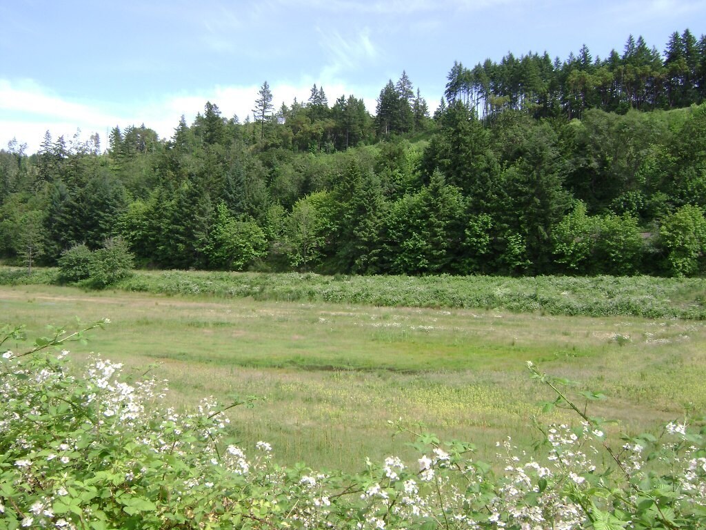 560 Stearns Ln, Oakland, OR for sale Primary Photo- Image 1 of 14