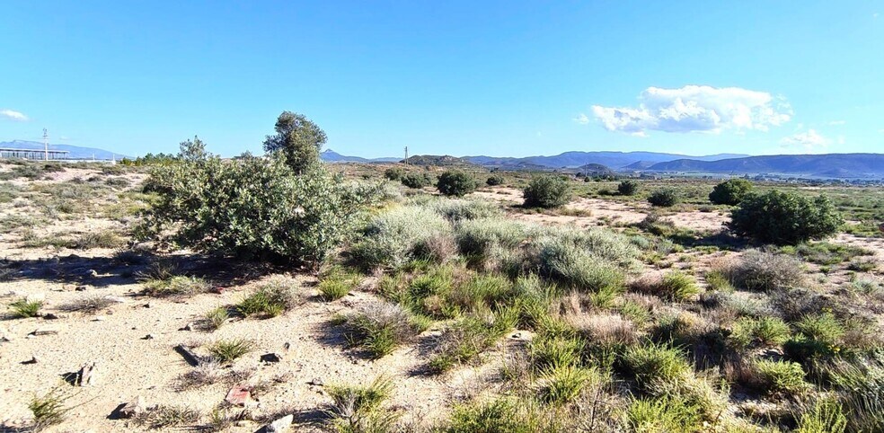 Partida los Cabezos, 16, Villena, Alicante à vendre - Plan de site - Image 3 de 5