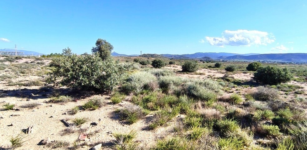 Partida los Cabezos, 16, Villena, Alicante for sale - Site Plan - Image 3 of 5