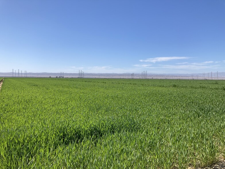 Interstate 5, Buttonwillow, CA à vendre - Autre - Image 1 de 1