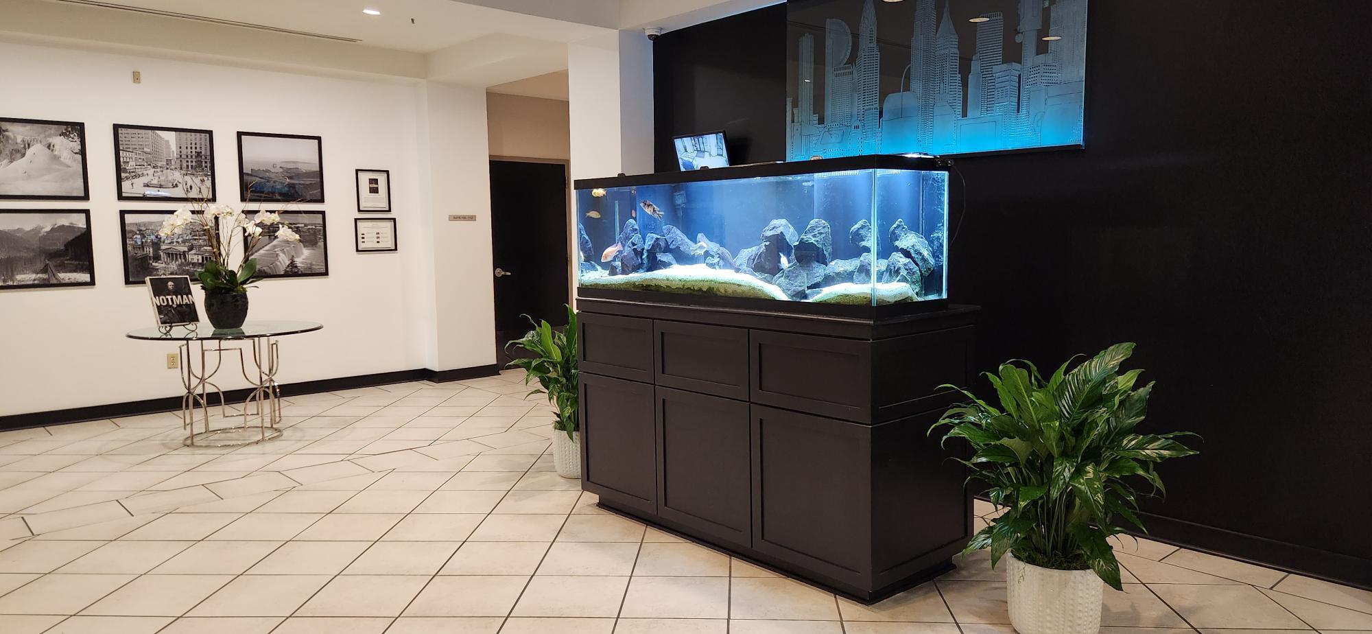 254 Court Ave, Memphis, TN à louer Photo intérieure- Image 1 de 27