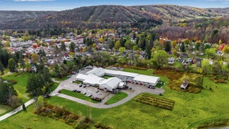 More details for 2-85 Bristol Ln, Ellicottville, NY - Retail for Lease