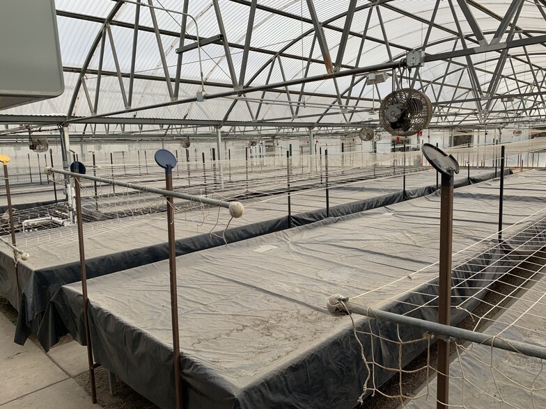 806 N 2nd St, Berthoud, CO à louer - Photo du bâtiment - Image 2 de 10