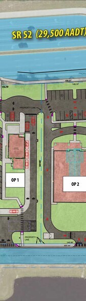SEC SR 52 & Silver Palm Blvd, Land O' Lakes, FL à louer - Plan de site - Image 3 de 5
