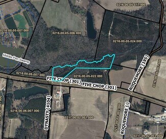 Plus de détails pour 00 Five Chop Road, Orangeburg, SC - Terrain à vendre