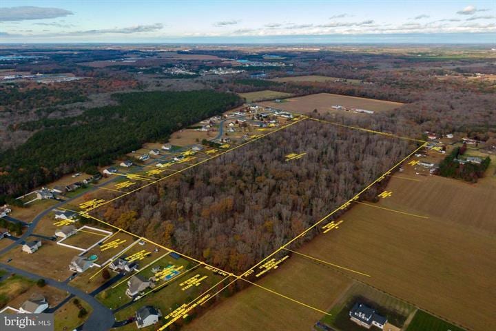 Land in Millsboro, DE for sale Primary Photo- Image 1 of 4