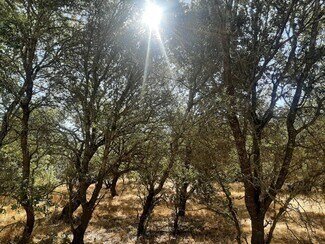 More details for San Blas, Torreorgaz, Extremadura, Torreorgaz - Land for Sale