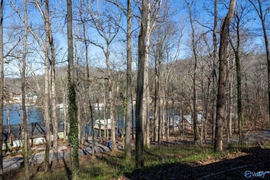 3414 Wyeth Drive Dr, Guntersville, AL à vendre - Photo du bâtiment - Image 2 de 3