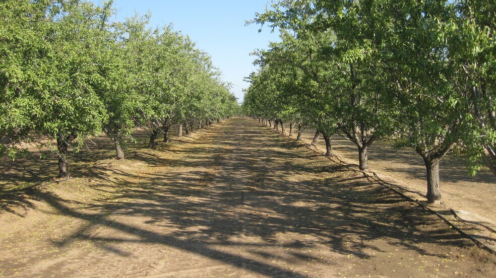 2524 N McCall Ave, Sanger, CA for sale - Primary Photo - Image 1 of 3