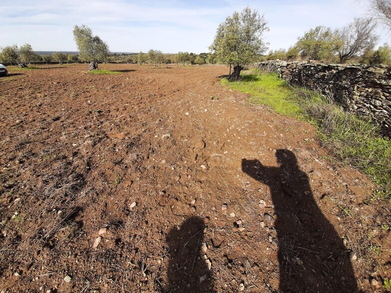 Terrain dans Cáceres, Cáceres à vendre - Plan de site - Image 2 de 2