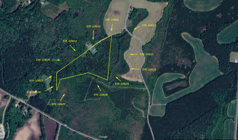 0 Half Acre Ct, Vance, SC à vendre - Photo principale - Image 2 de 15