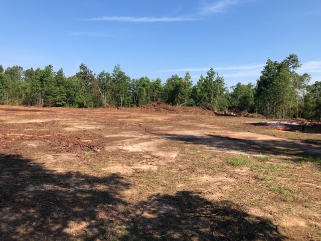 Hwy 157, Plain Dealing, LA for sale - Building Photo - Image 3 of 9