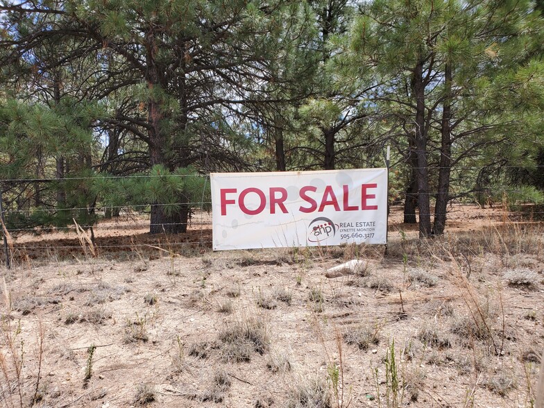 Highway 434-Guadalupita, Mora, NM for sale - Other - Image 1 of 1