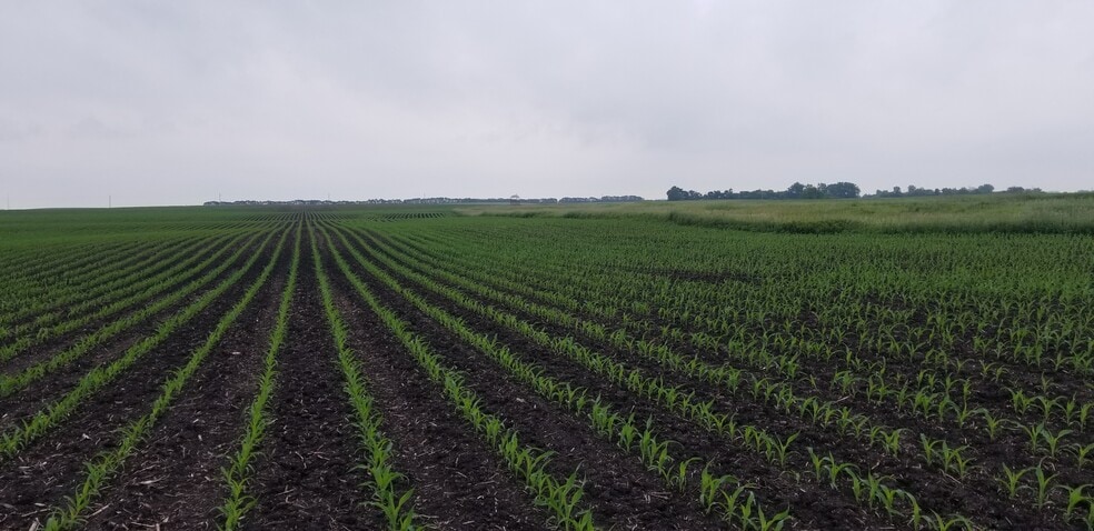 0 330th Ave 0 330th Ave, Westbrook, MN for sale - Other - Image 2 of 3