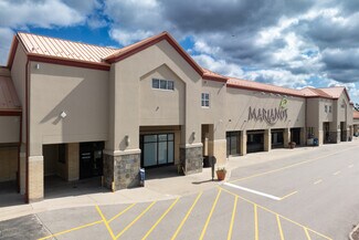 More details for 300-500 W Half Day Rd, Buffalo Grove, IL - Retail for Lease