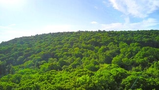 Plus de détails pour 217 Jensen rd, Vestal, NY - Terrain à vendre