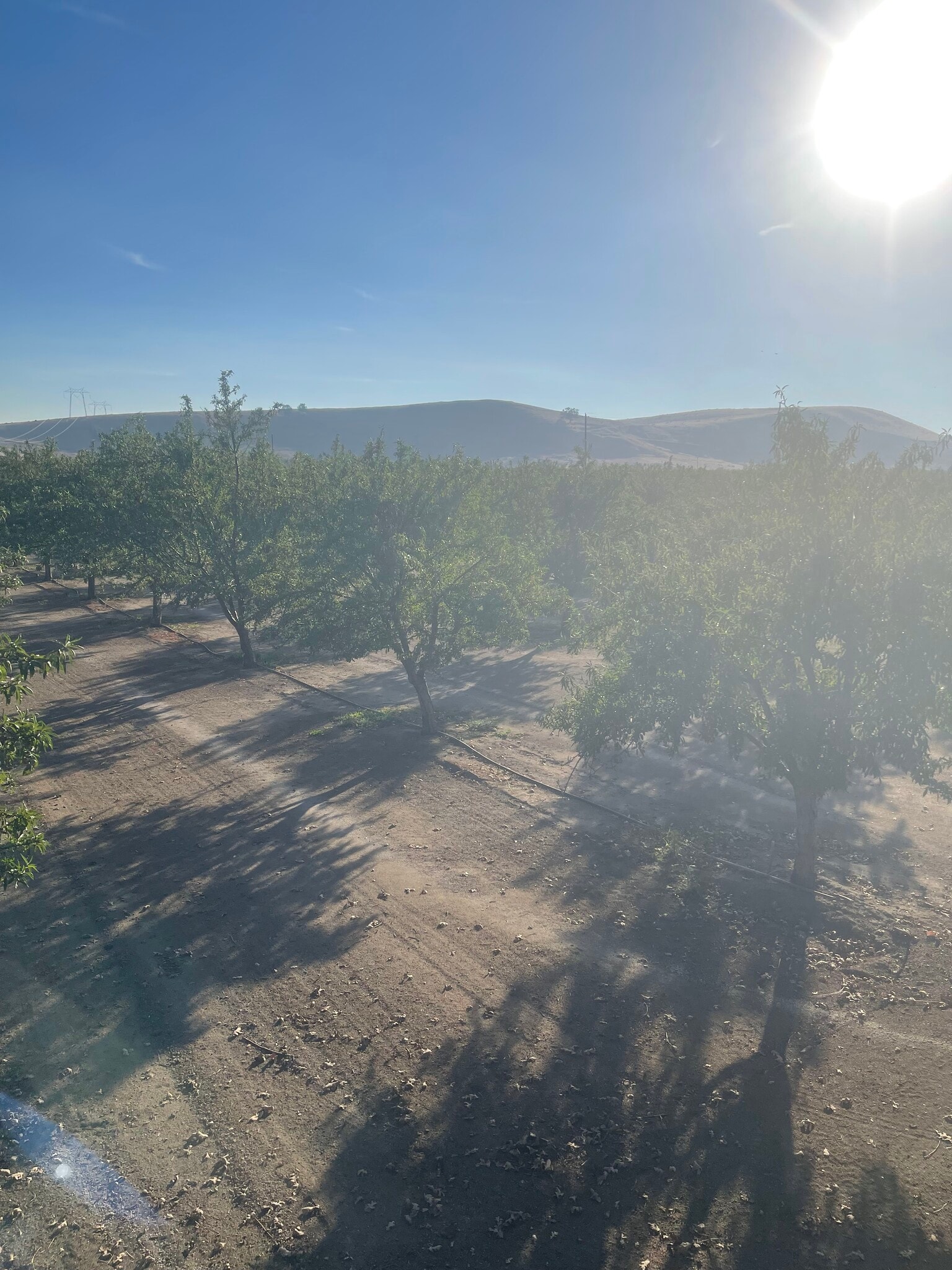 8744 Pass rd, Sutter, CA for sale Primary Photo- Image 1 of 6