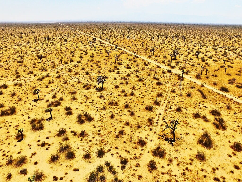 Caughlin Rd, Adelanto, CA for sale Building Photo- Image 1 of 17