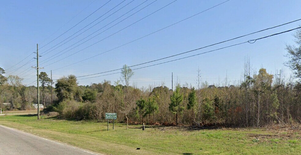 14.3 Acres Columbia Road, Orangeburg, SC à vendre - Photo du bâtiment - Image 3 de 3