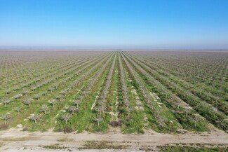 Plus de détails pour Road 38, Alpaugh, CA - Terrain à vendre