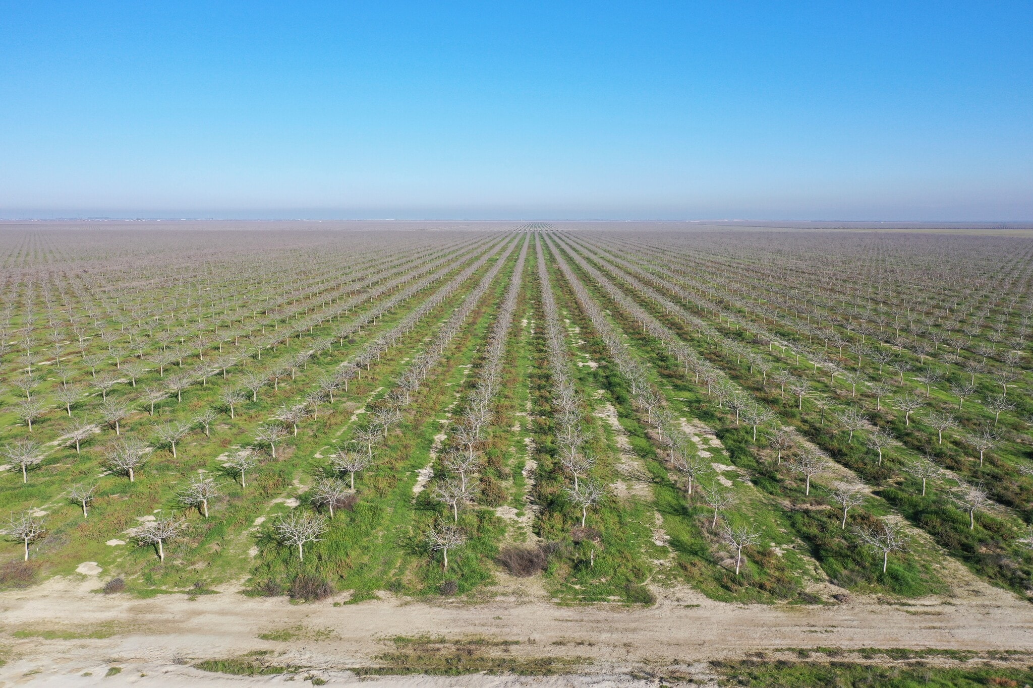 Road 38, Alpaugh, CA for sale Primary Photo- Image 1 of 18