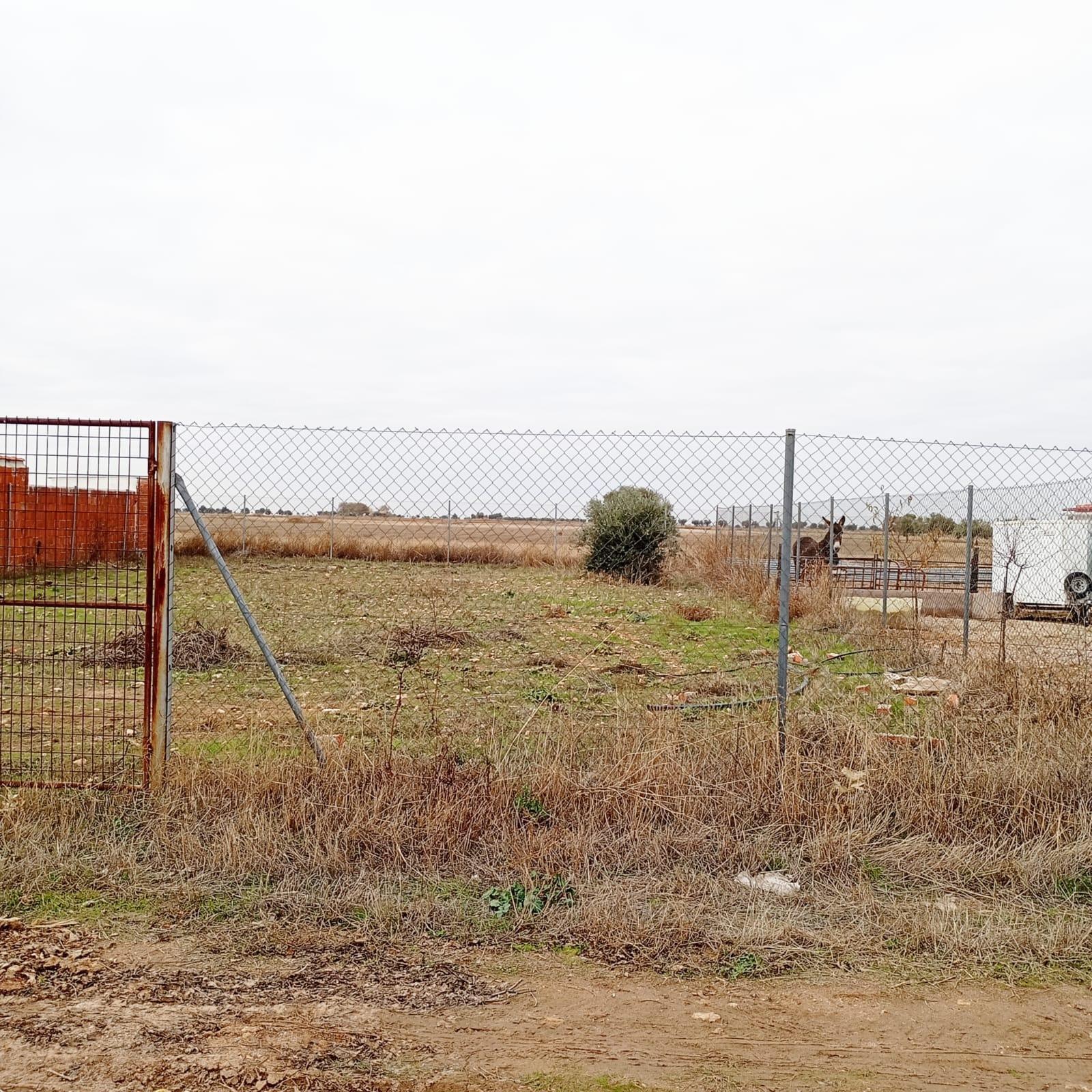 Camino de los Ciruelos, 18, Yepes, Toledo for sale Site Plan- Image 1 of 22