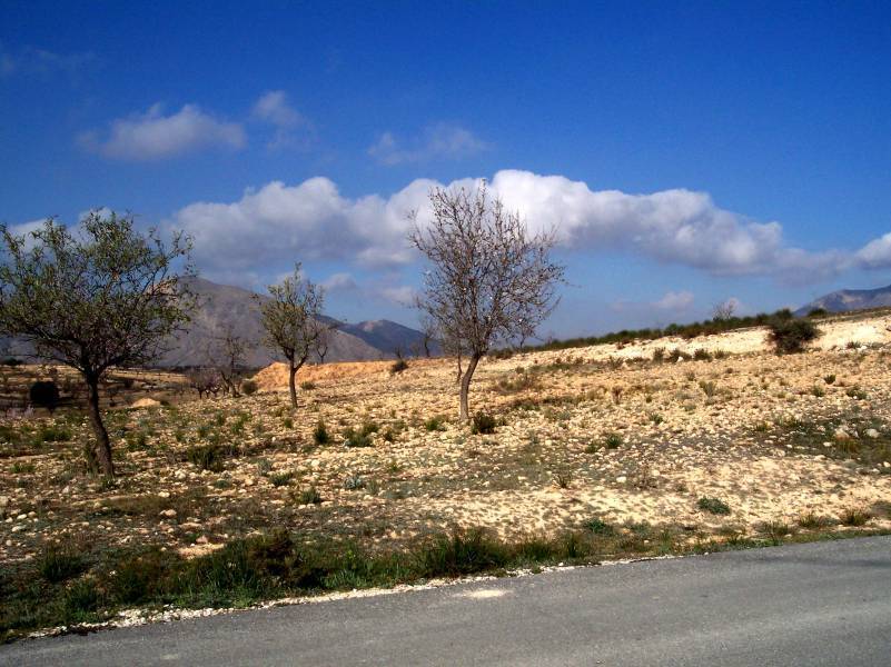 Terrain dans Hondón de los Frailes, Alicante à vendre Photo du bâtiment- Image 1 de 2
