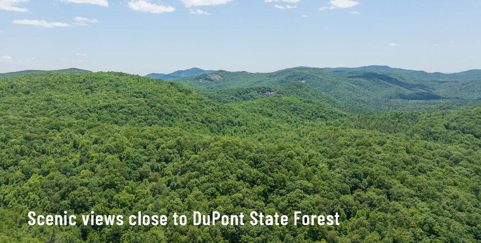 78 Smiling Fox Trl, Brevard, NC à vendre - Aérien - Image 2 de 9