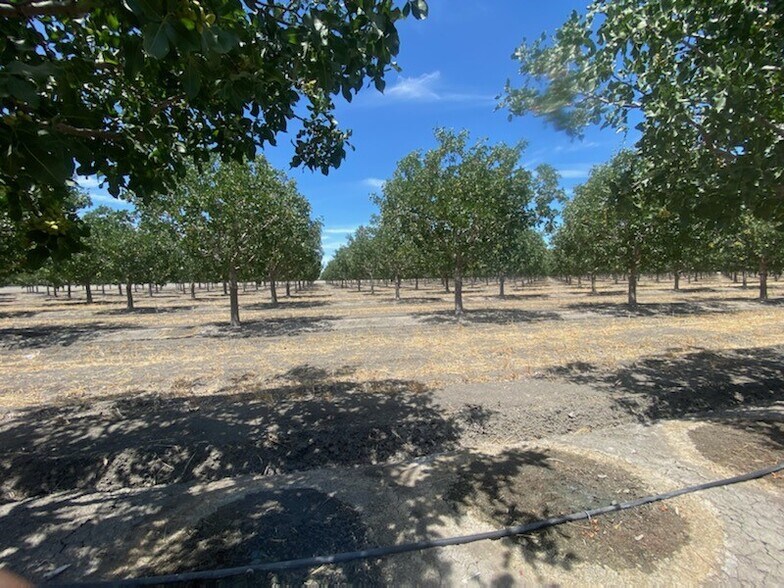 8307 S Contra Costa Rd, Tranquillity, CA à vendre - Photo du bâtiment - Image 3 de 3